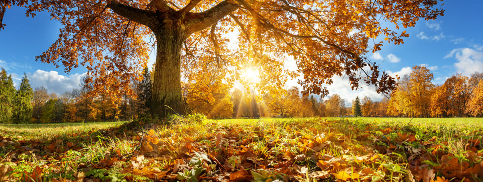 Herbst in der Wetterau – Die schönsten Erlebnisse in der Region